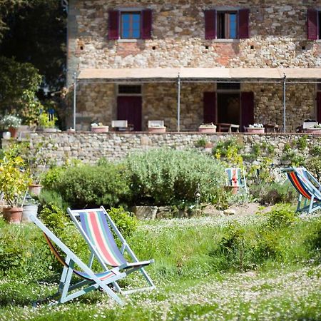 Ancora Del Chianti Bed & Breakfast Greve in Chianti Exterior foto