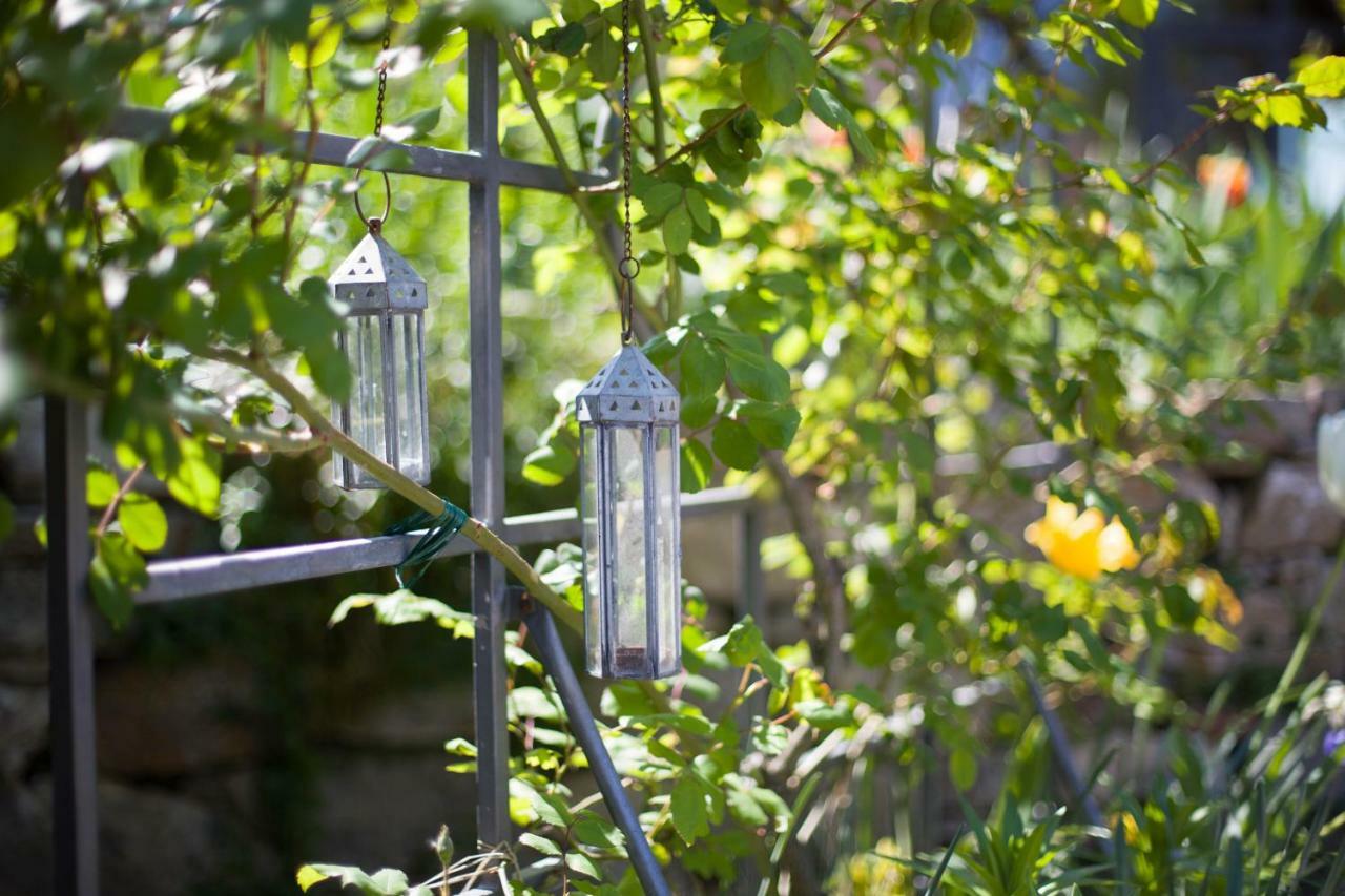 Ancora Del Chianti Bed & Breakfast Greve in Chianti Exterior foto