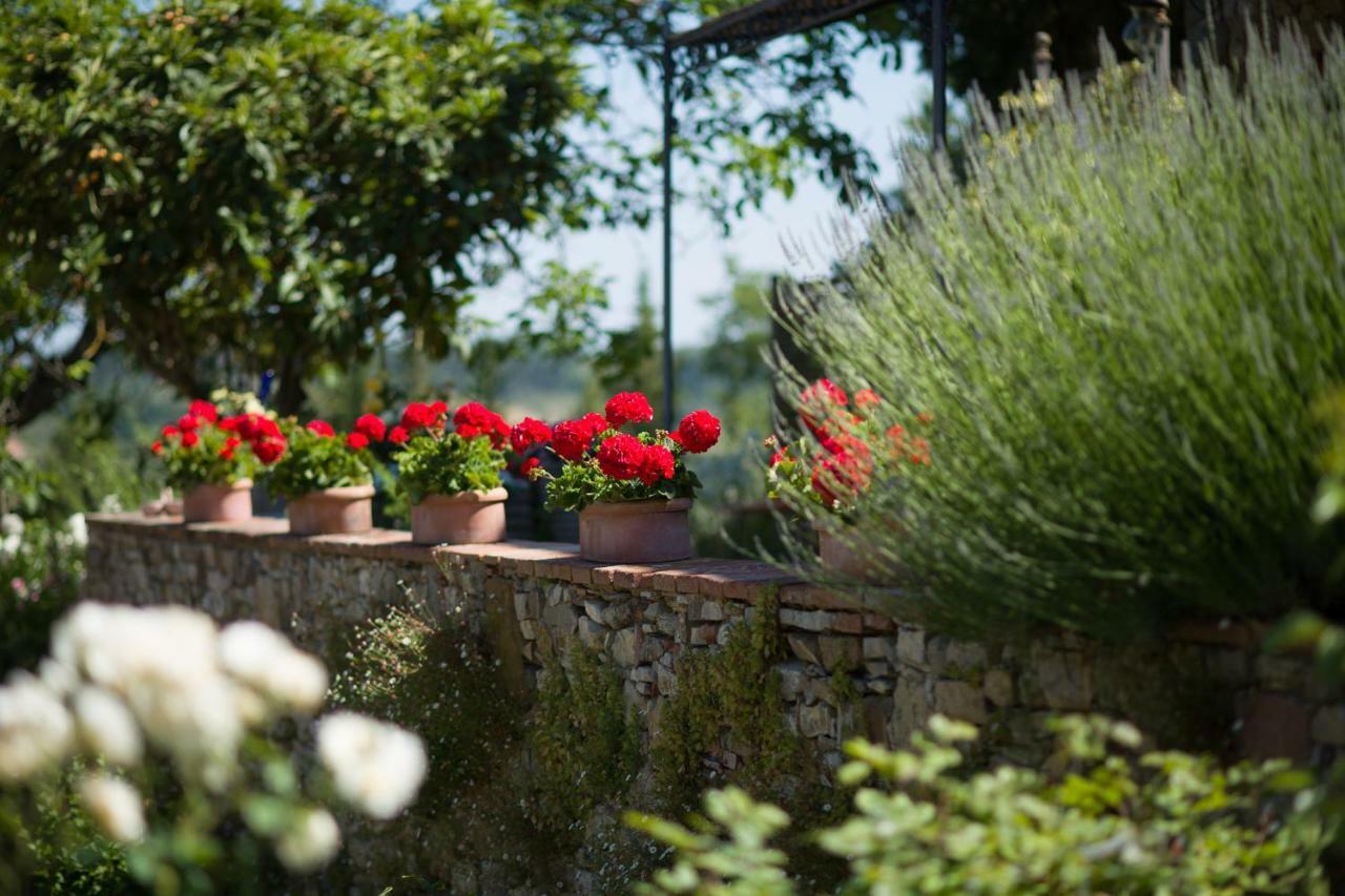 Ancora Del Chianti Bed & Breakfast Greve in Chianti Exterior foto