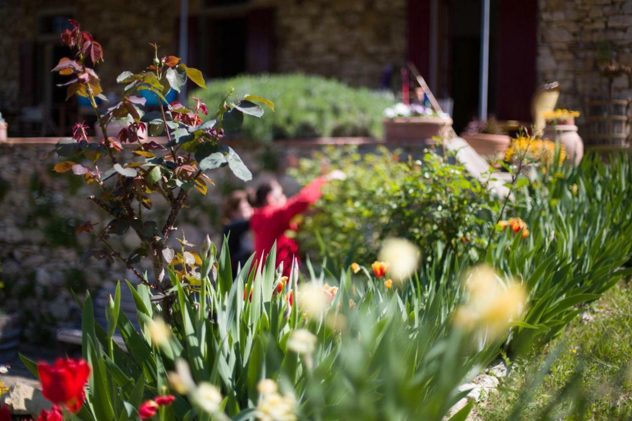 Ancora Del Chianti Bed & Breakfast Greve in Chianti Exterior foto